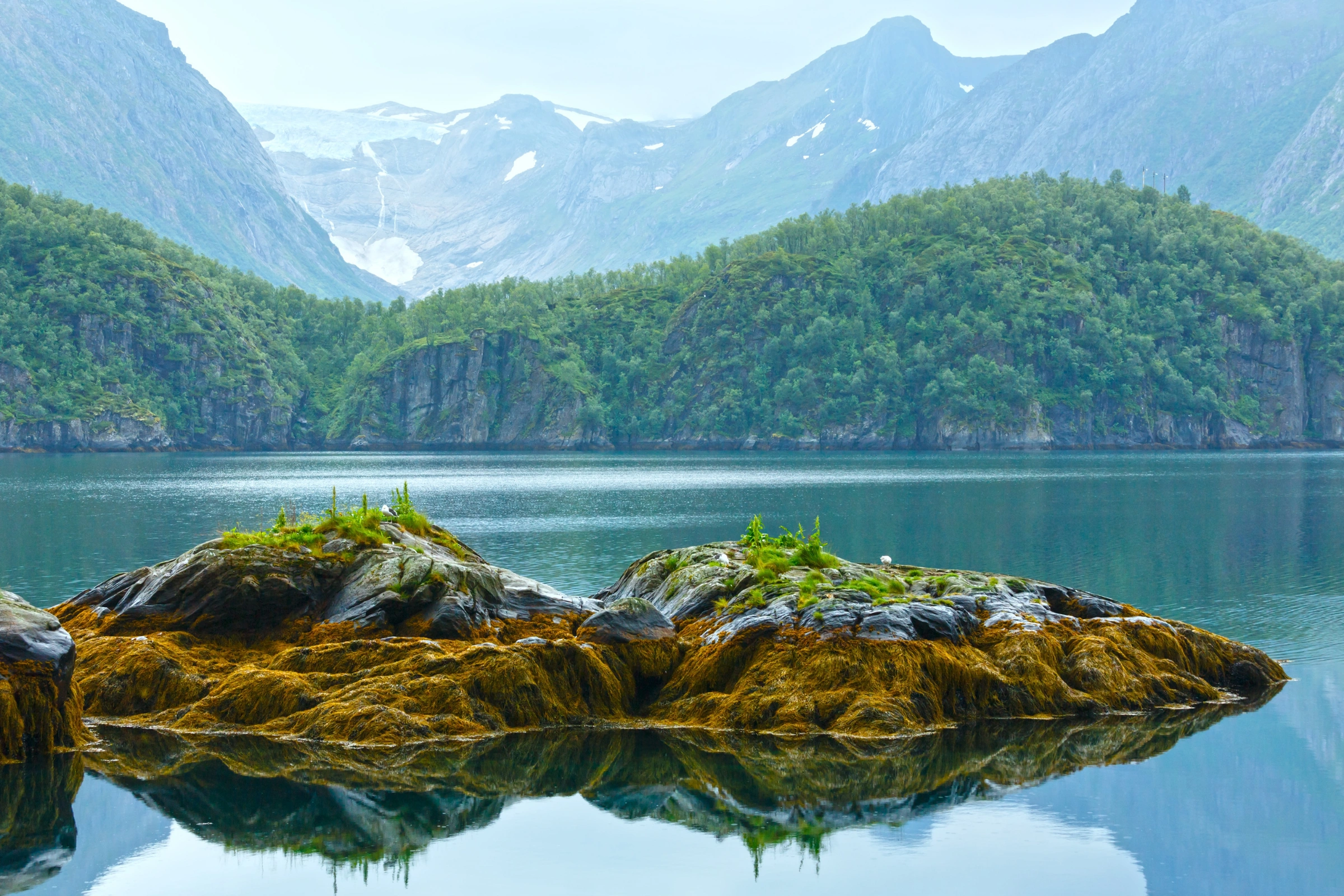 Svartisen_Glacier[1] (1).webp